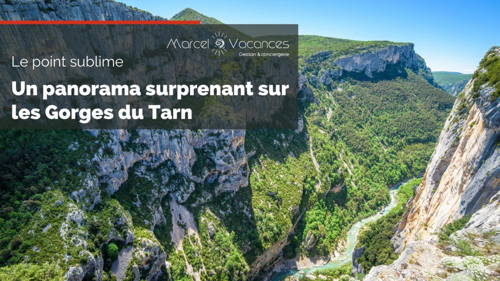 Gorges Du Tarn Gite En Pierres Avec Terrasse Quezac  Экстерьер фото
